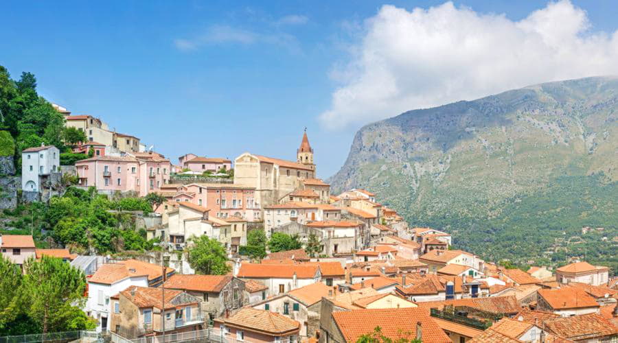 Nuestro inventario incluye una amplia variedad de vehículos.